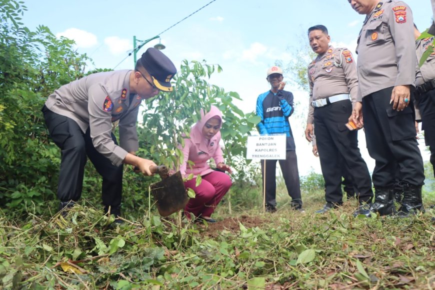 Ratusan Bibit Beringin Ditanam untuk Lindungi Mata Air