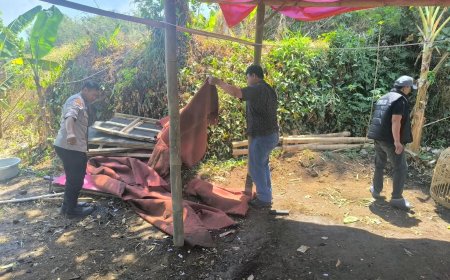 Polisi Bongkar Arena Diduga Sabung Ayam di Karangploso Malang   