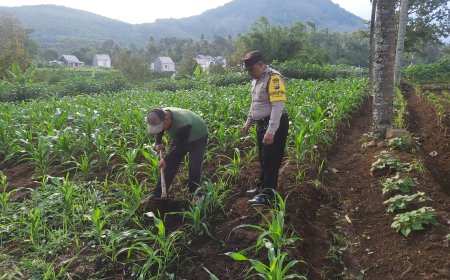 Polres Malang Perkuat Kolaborasi Polisi dan Warga di Sektor Pangan